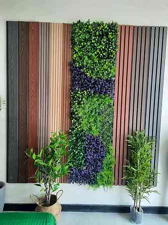 Pasto para pared Zárate