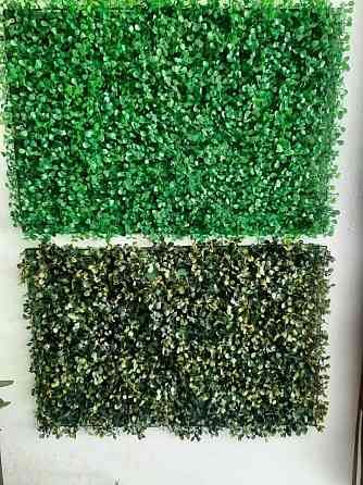 Pasto para pared Zárate