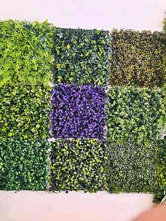 Pasto para pared Zárate