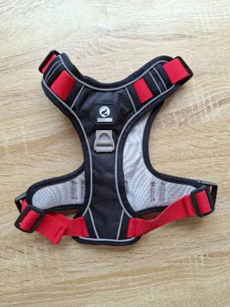 Pretal Duomm para perro chico tslle S Esteban Echeverría