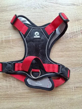 Pretal Duomm para perro chico tslle S Esteban Echeverría