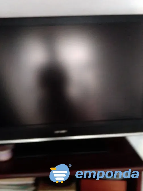 Tv usada Tigre - imagen 2