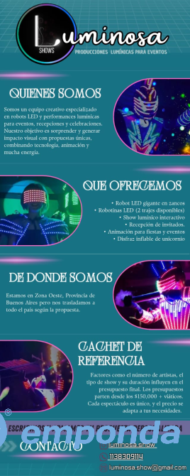 Producciones lumínicas para eventos General San Martín - imagen 5