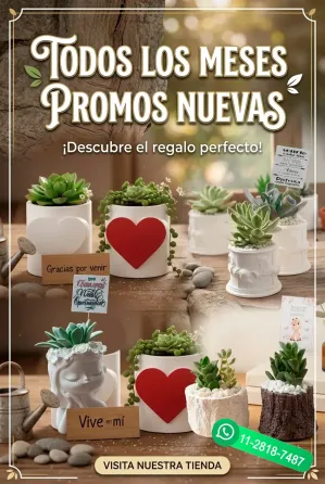Ideas que Apasionan Merlo