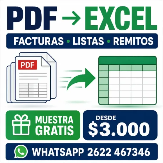 Paso facturas, PDF y listas a Excel Mendoza