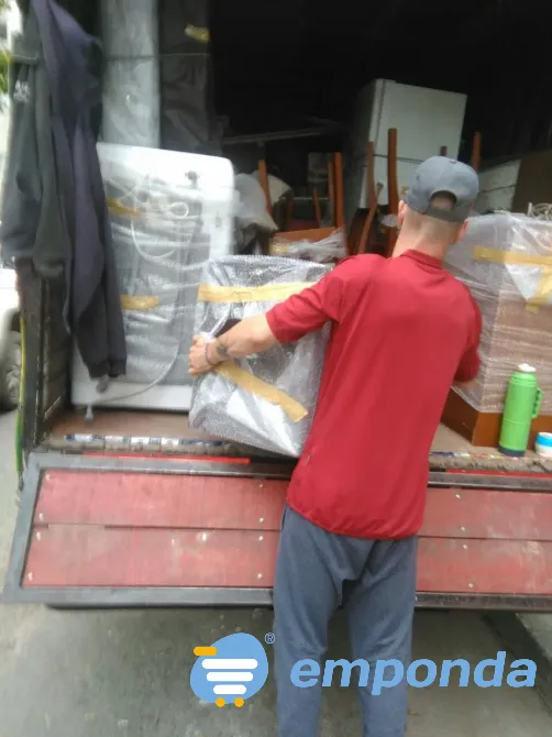 Fletes la plata mudanzas en la plata y tolosa La Plata - imagen 4